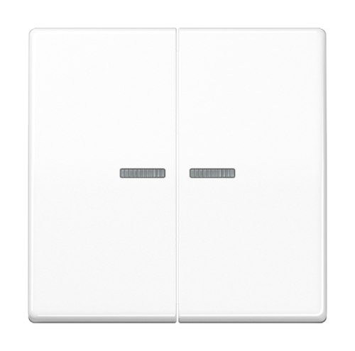 Клавиша двойная с линзами JUNG AS 500, белый