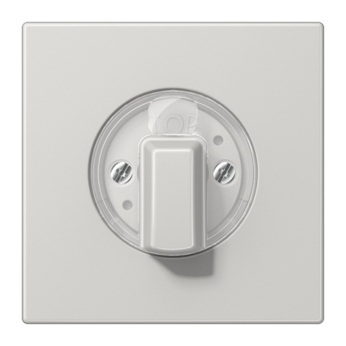 JUNG LS Светло-серая Накладка поворотного механизма