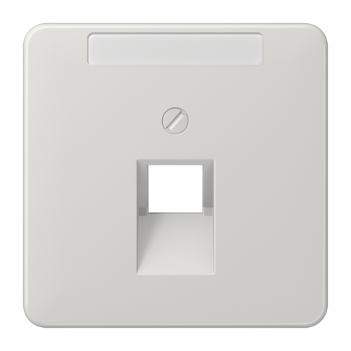 JUNG CD 500/CD plus Светло-серая Накладка 1-ой наклонной ТЛФ/комп розетки с полем для надписи