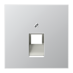 Накладка на розетку информационную JUNG LS METAL, матированный алюминий