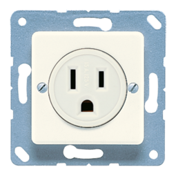 Розетка JUNG US-NEMA, скрытый монтаж, слоновая кость